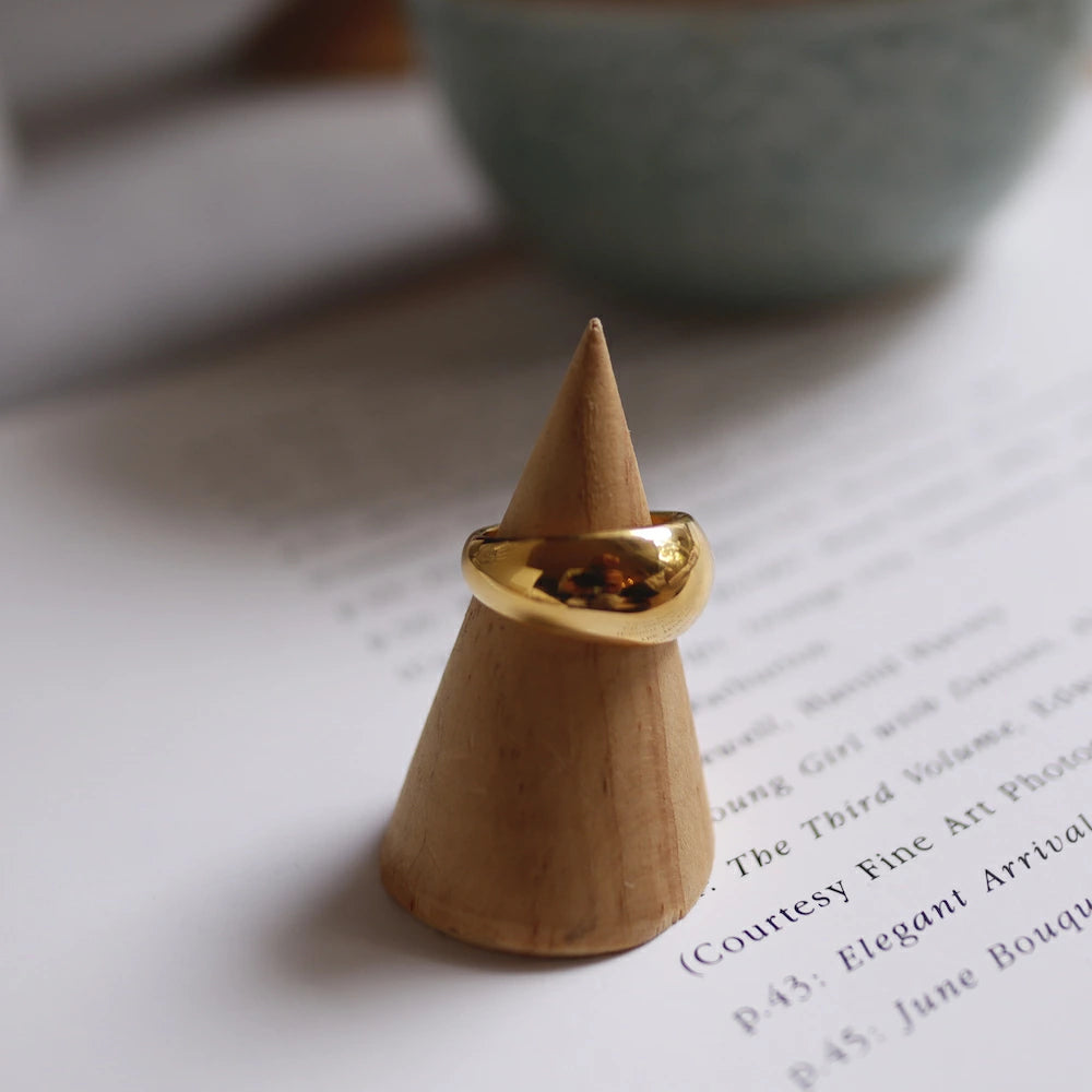 R017 stainless plump oversized ring