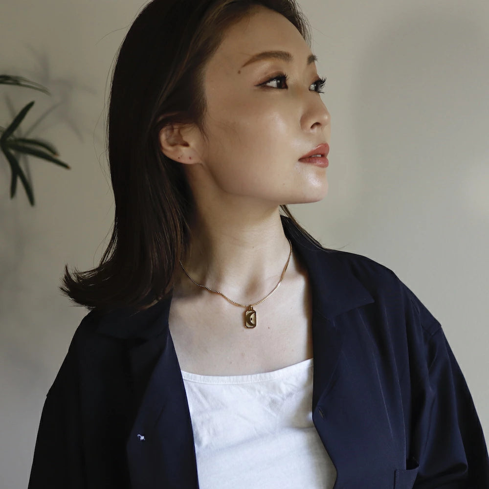 N081 stainless plate pendant
