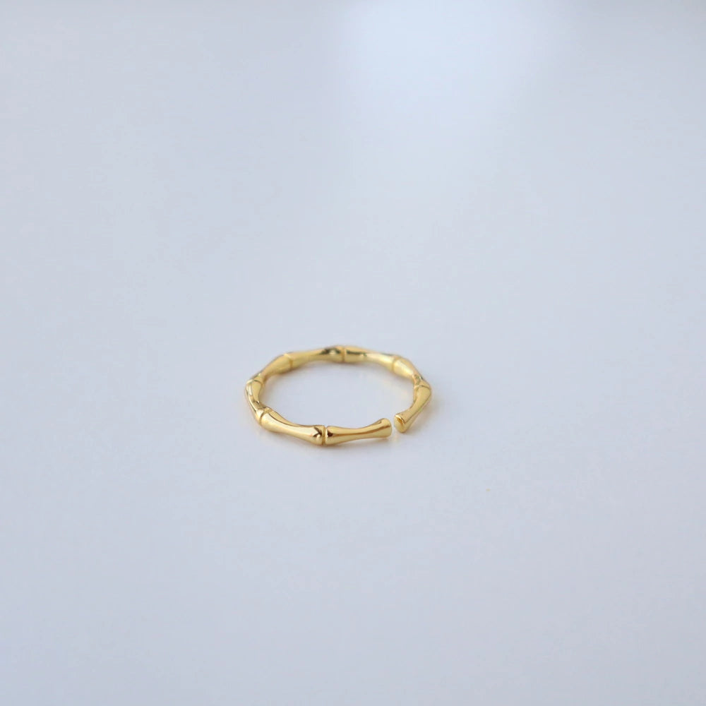 R013 silver925 bamboo slim ring