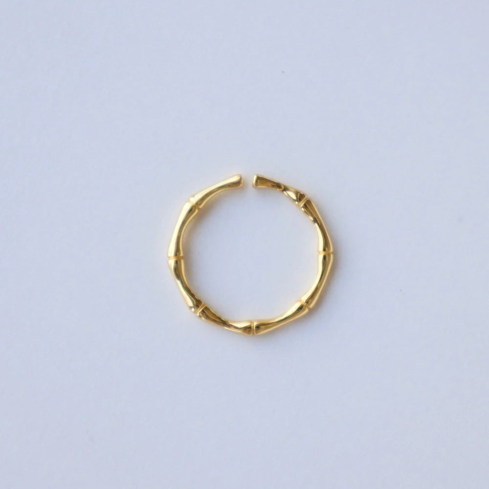 R013 silver925 bamboo slim ring