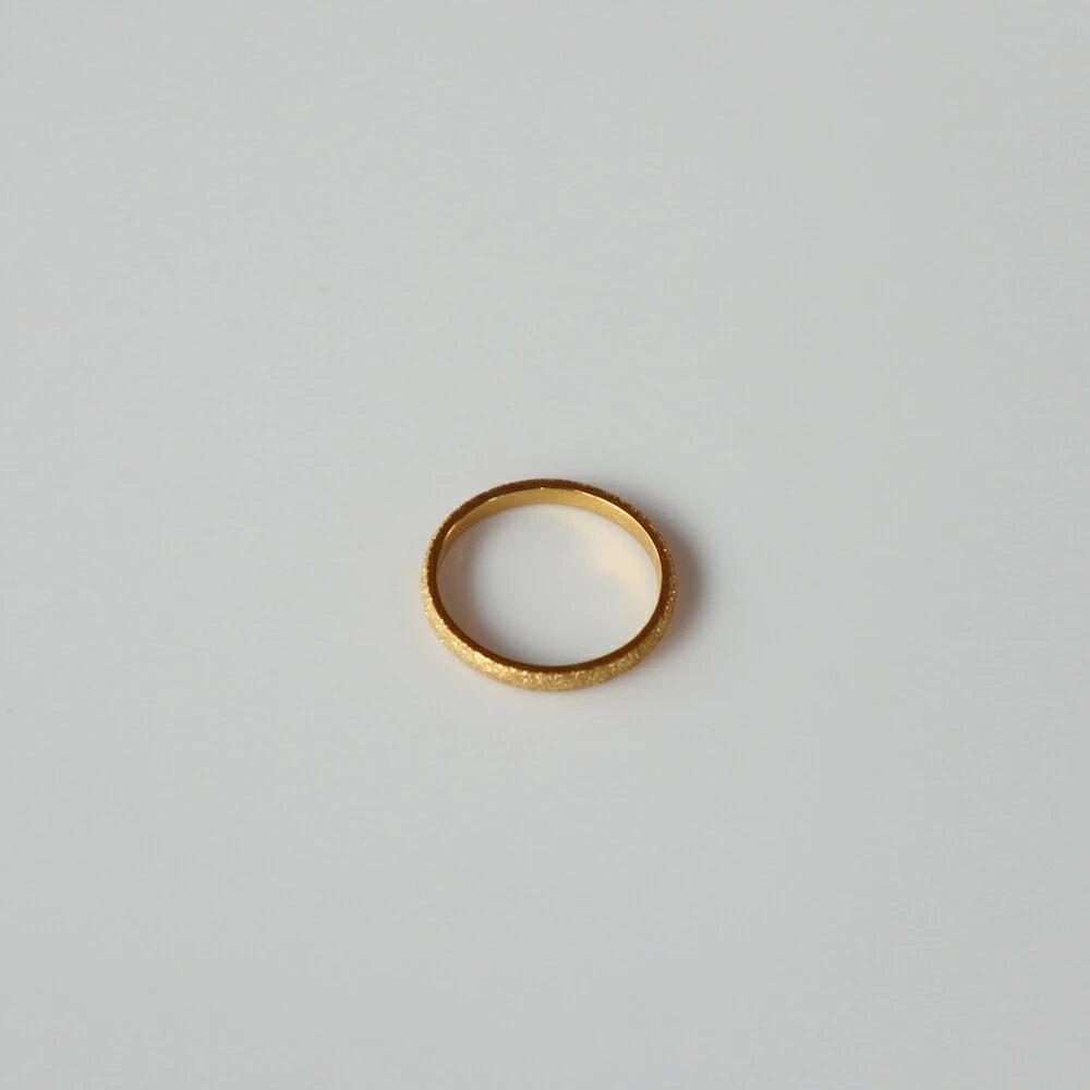 R038 stainless star dust ring