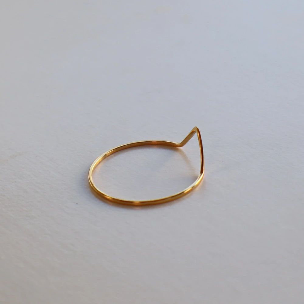 R022 stainless v line slim ring