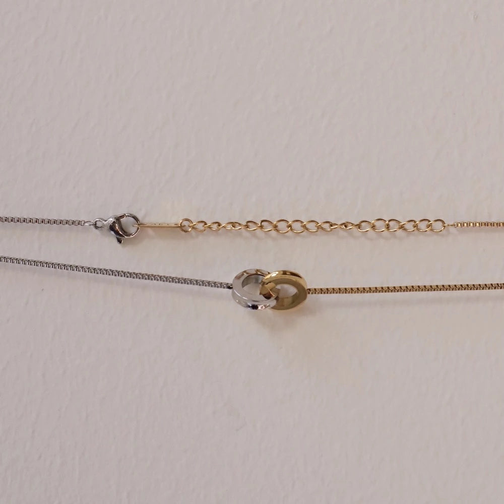N210 stainless bi-color ring necklace