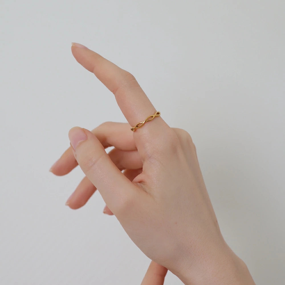 R079 stainless twist ring