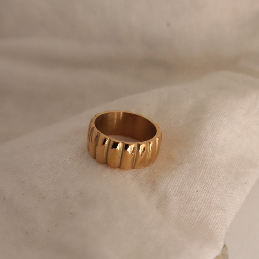 R045 stainless pumpkin ring