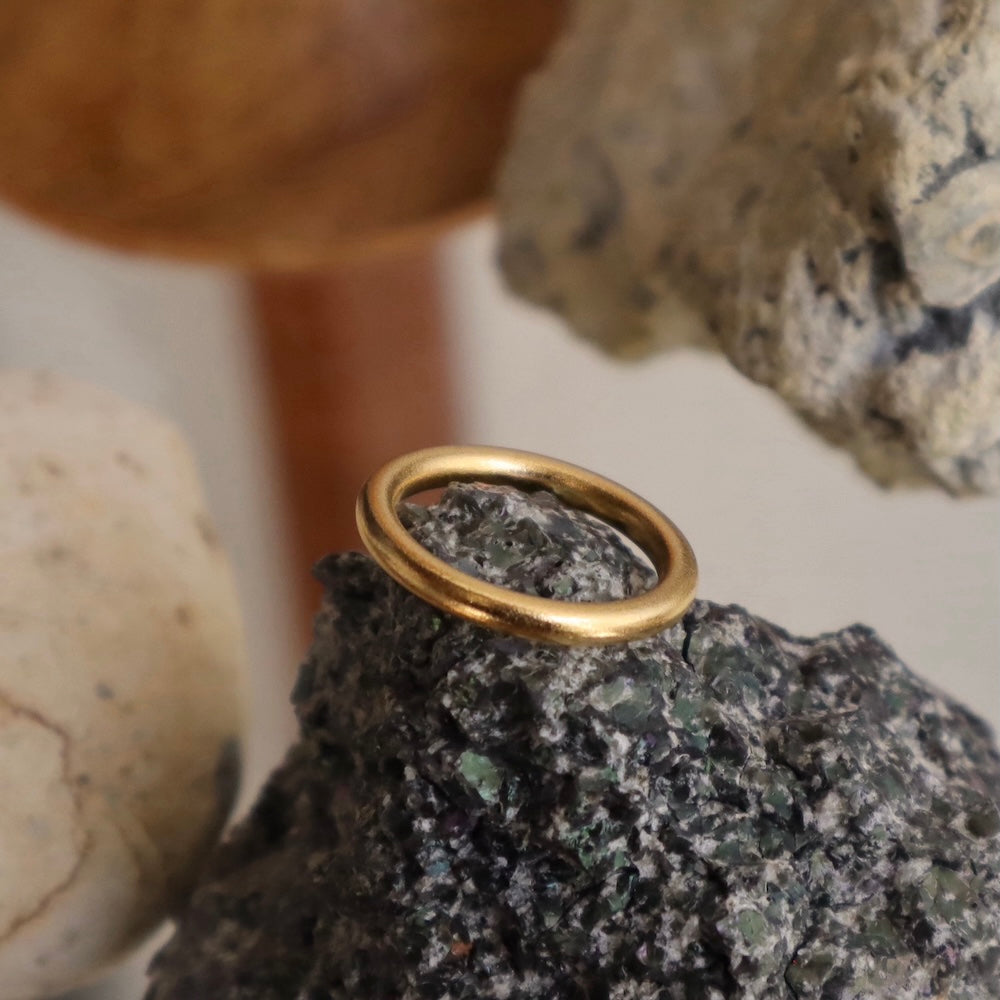 R061 stainless Matt simple ring