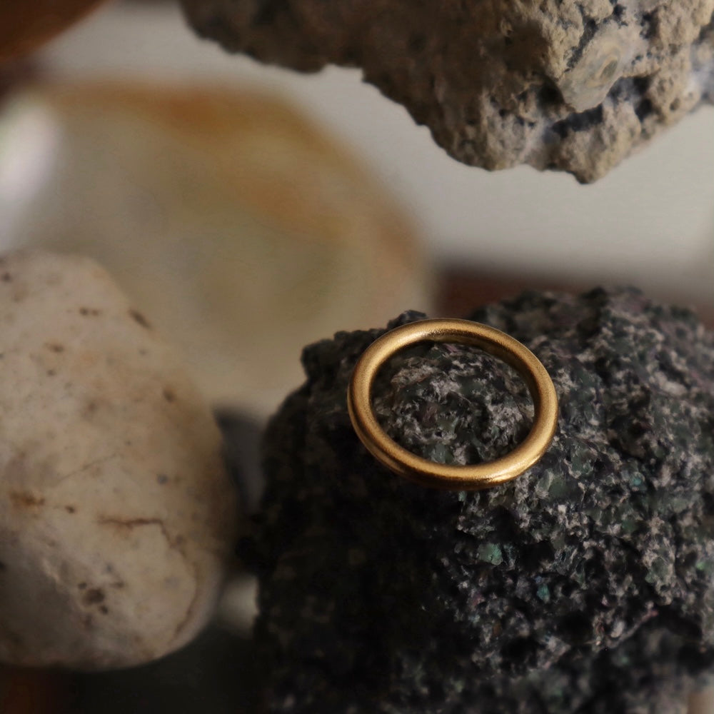 R061 stainless Matt simple ring