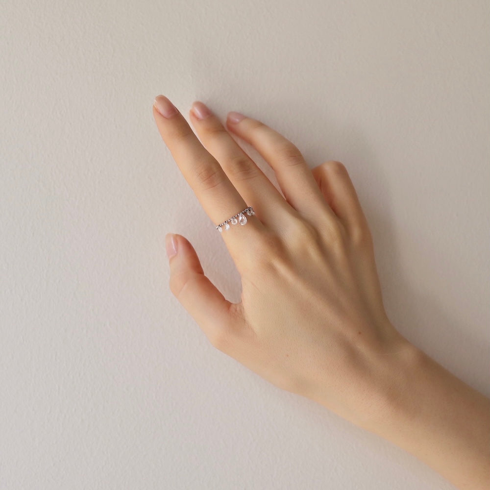 R068 stainless ball ring