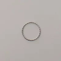 R075 stainless simple delicate ring