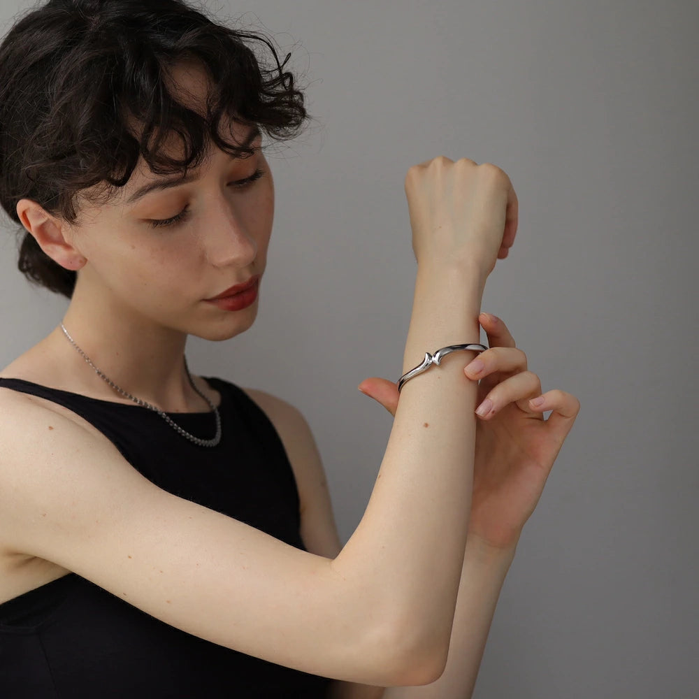 N234 stainless snake simple bangle