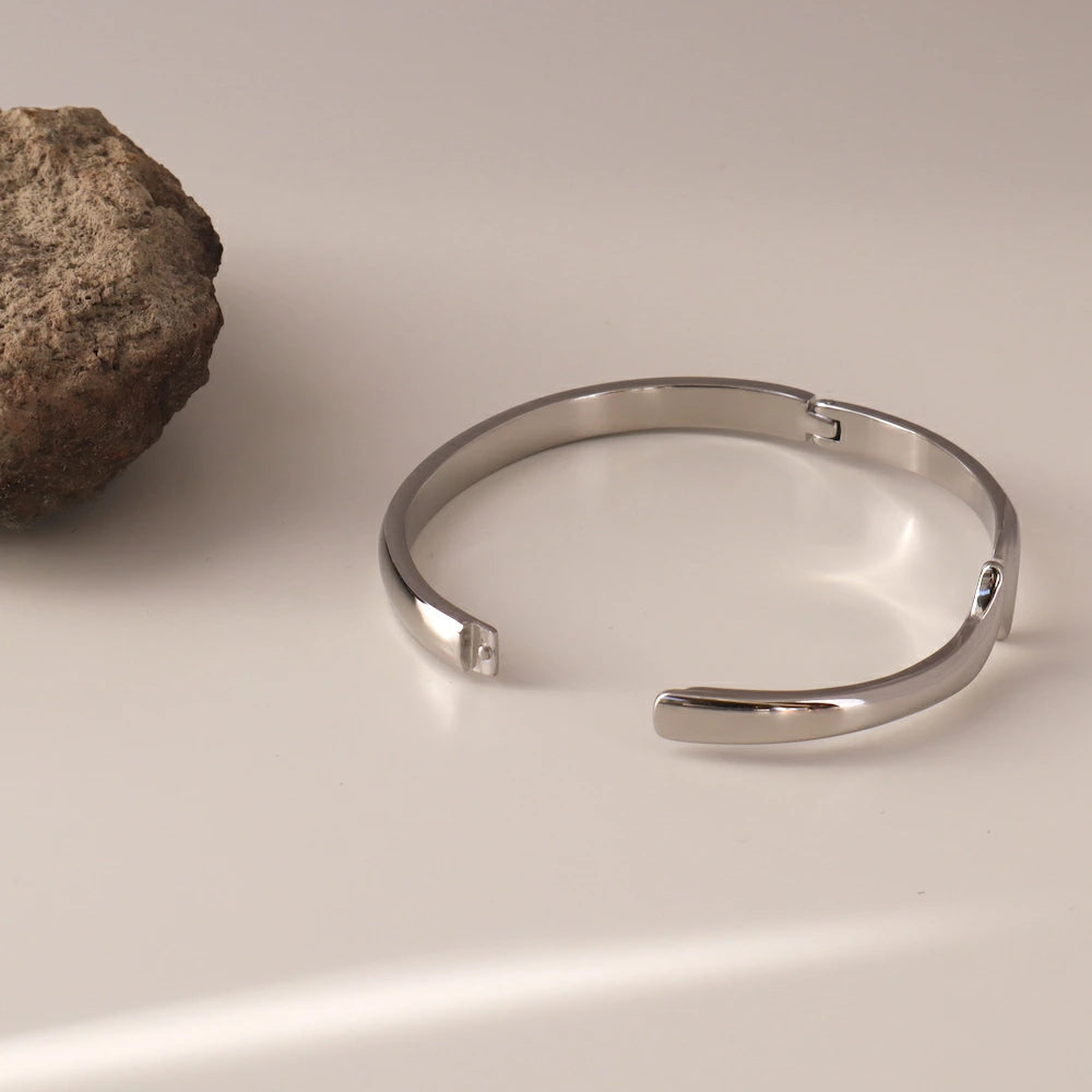 N234 stainless snake simple bangle