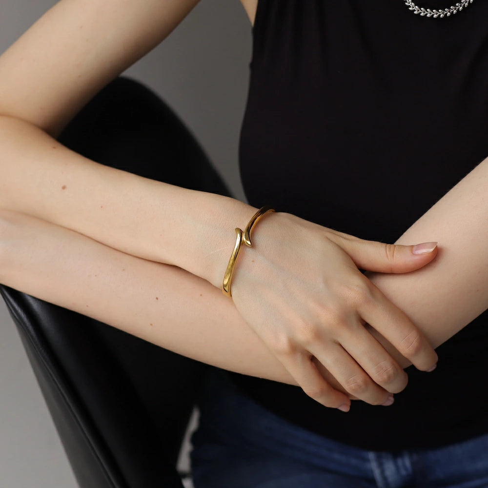 N234 stainless snake simple bangle