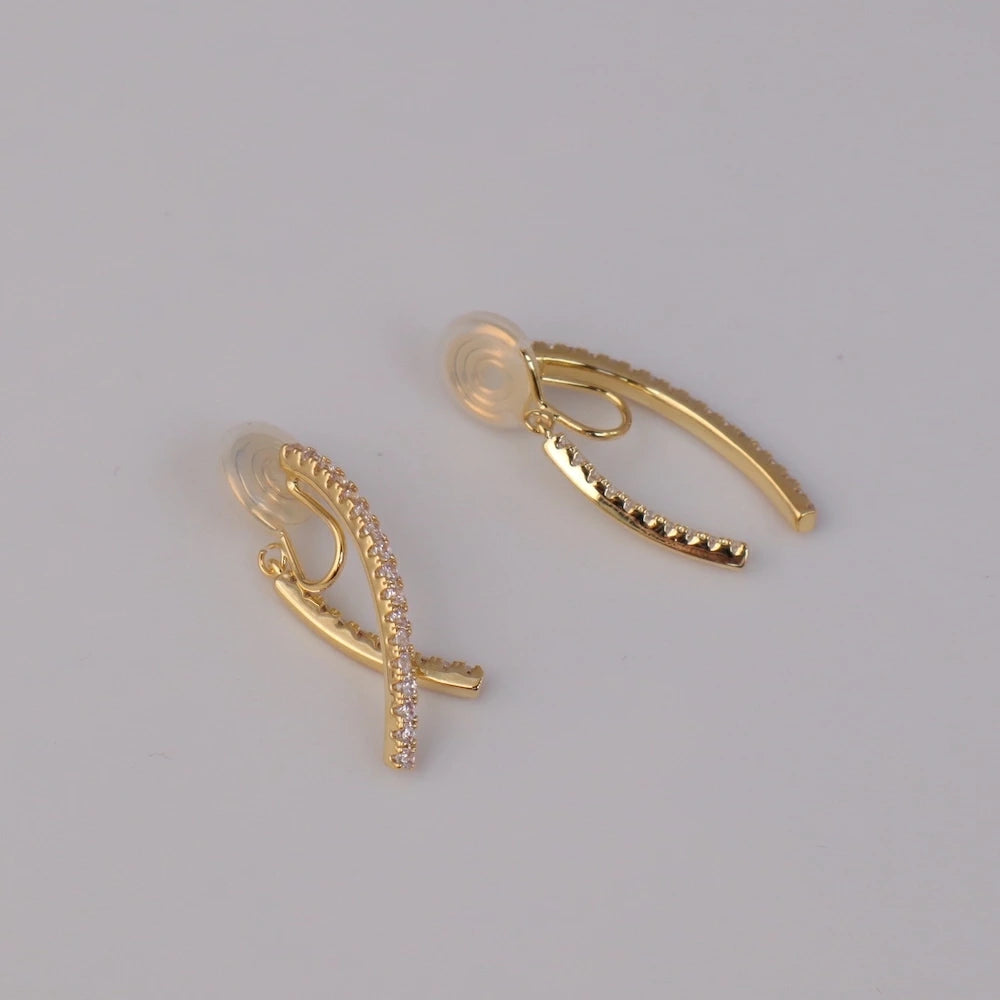 P095 zirconia line earring