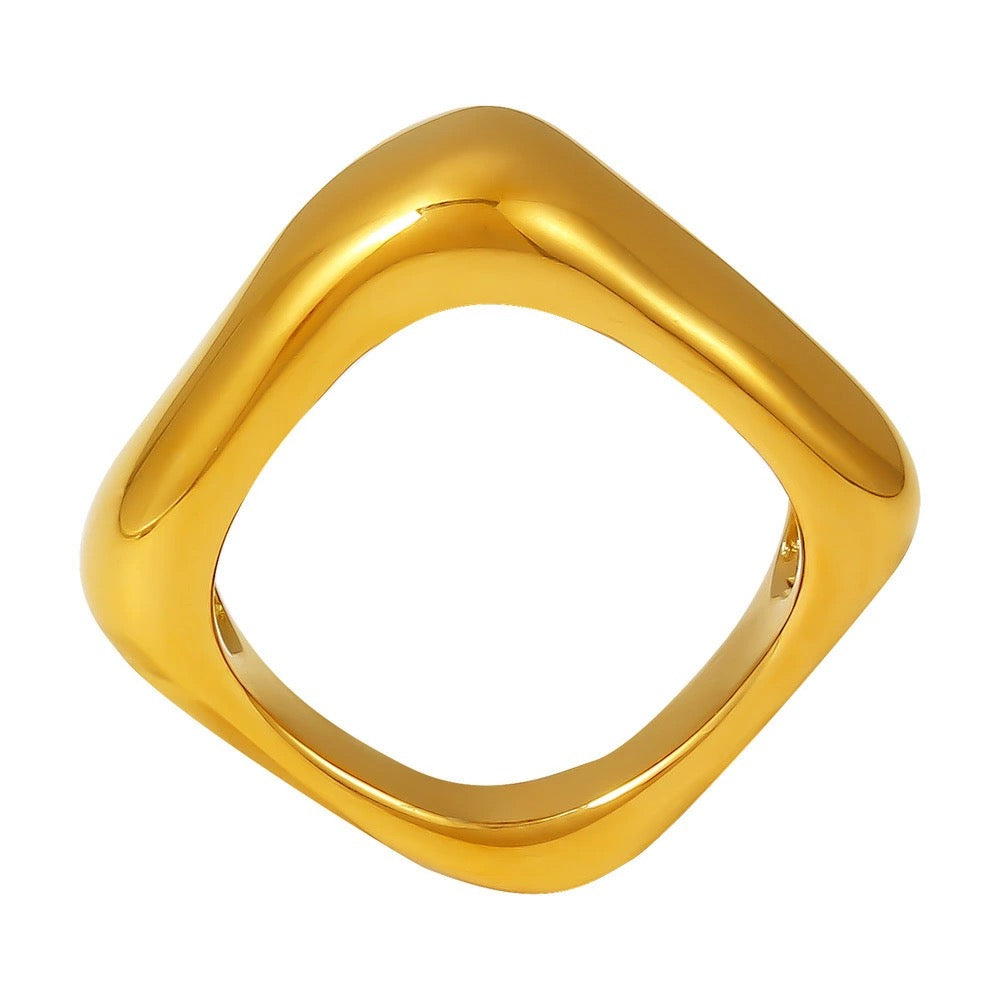 R058 stainless square ring