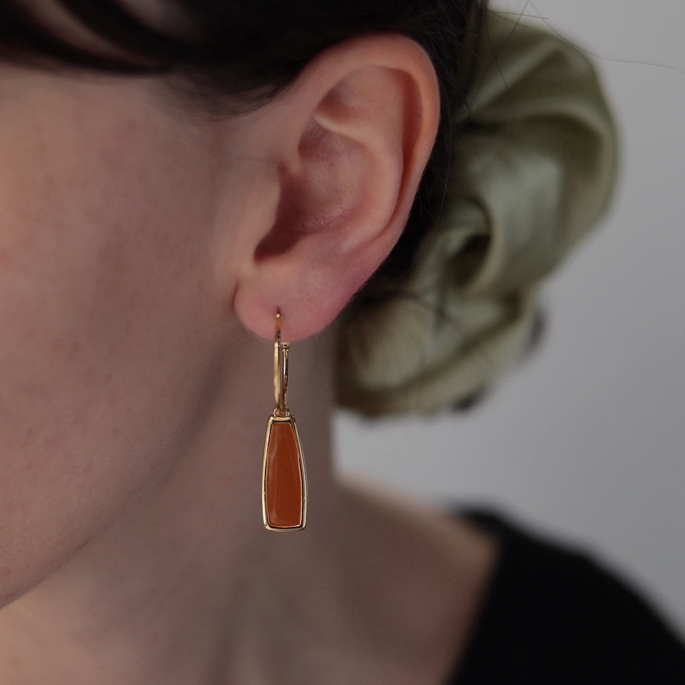 P293 color plate hoop pierce