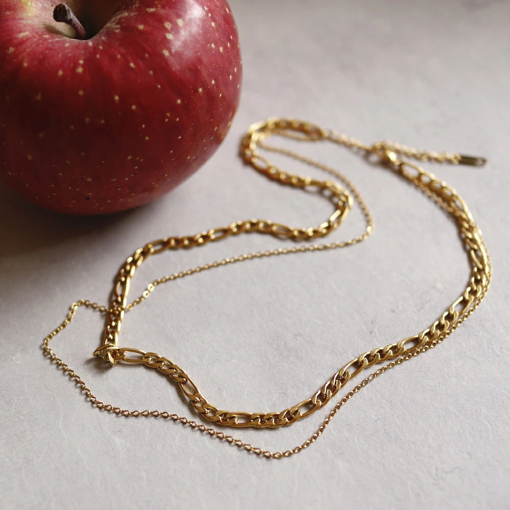 N076 stainless double chain necklace