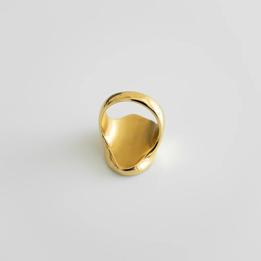 R090  stainless mother of pearl ring