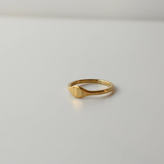 R036  stainless simple flat ring