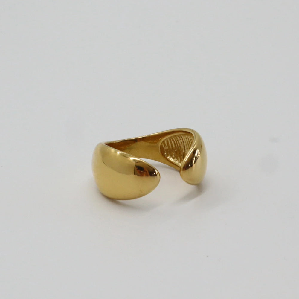 R008  stainless oversized plump ring