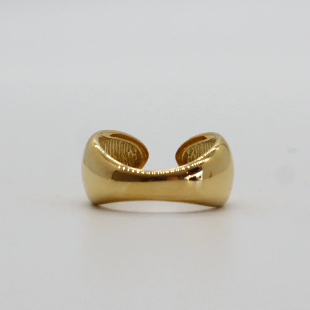 R008  stainless oversized plump ring