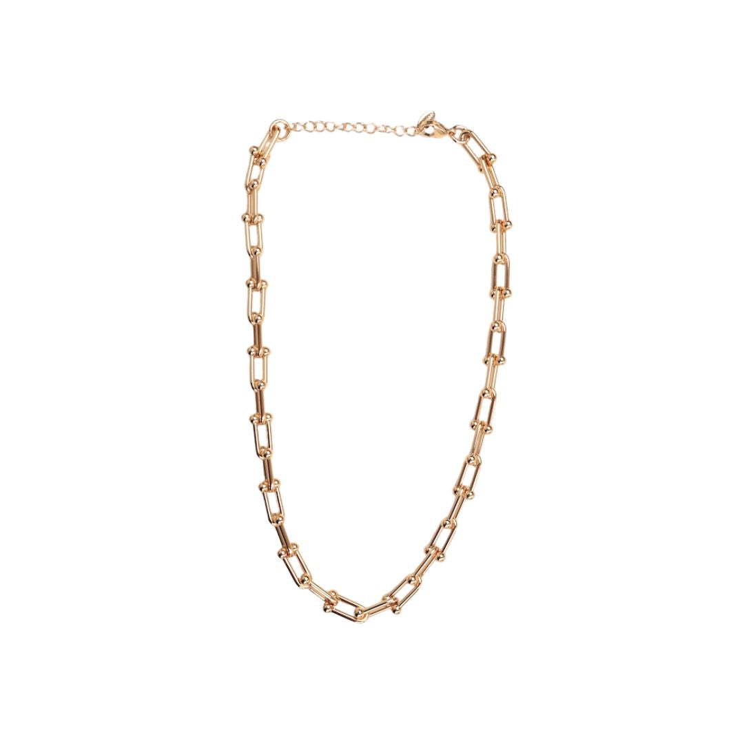 N101 stainless hard chain necklace