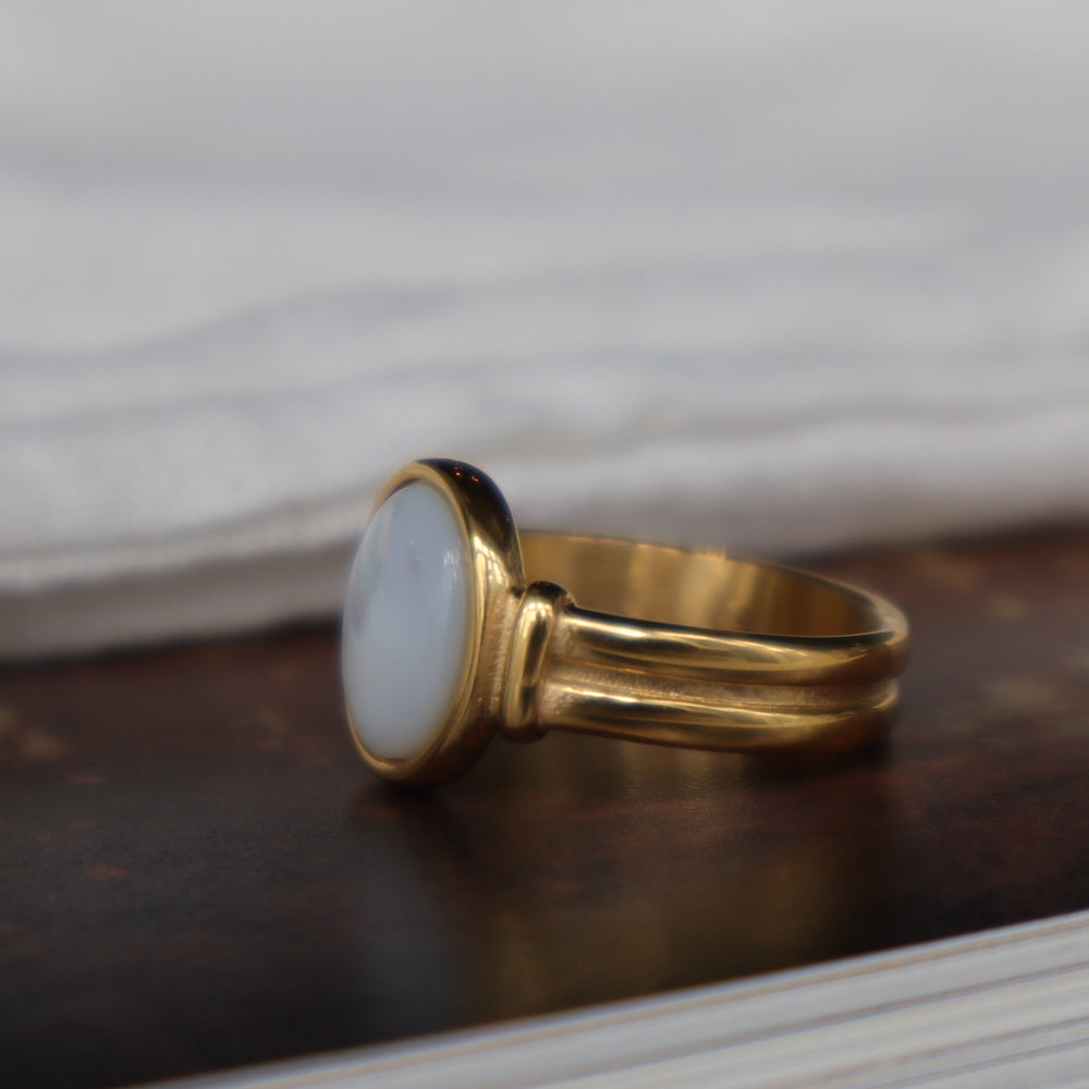 R082  stainless oversized shell ring