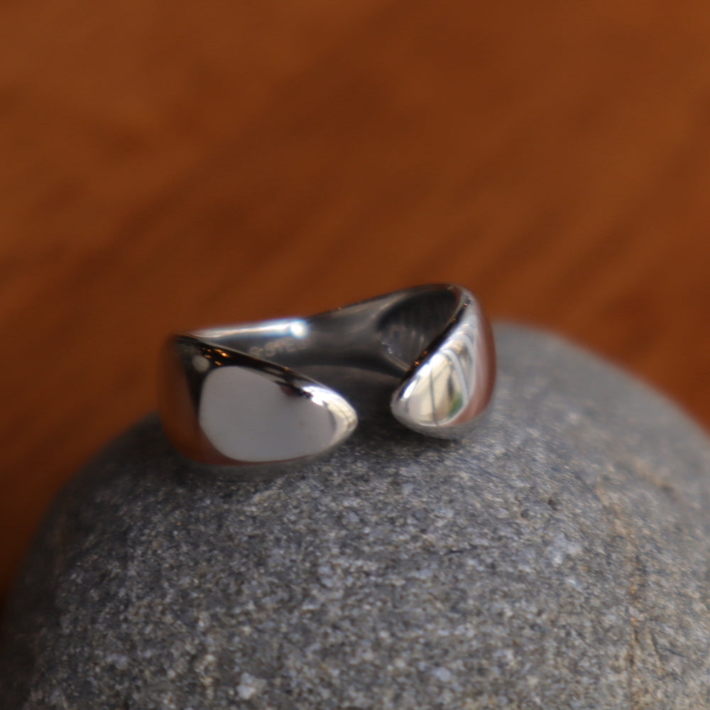 R008  stainless oversized plump ring